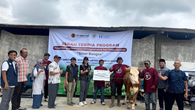 Kelompok peternak sapi saat menerima bantuan dari PT Smelting