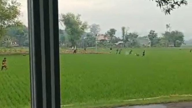 Para pelaku berlarian di tengah sawah saat pengrebekan sabung ayam di Desa Tambakrejo, Tuban
