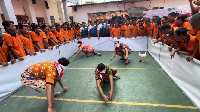 Para Napi ikut lomba menangkap ayam