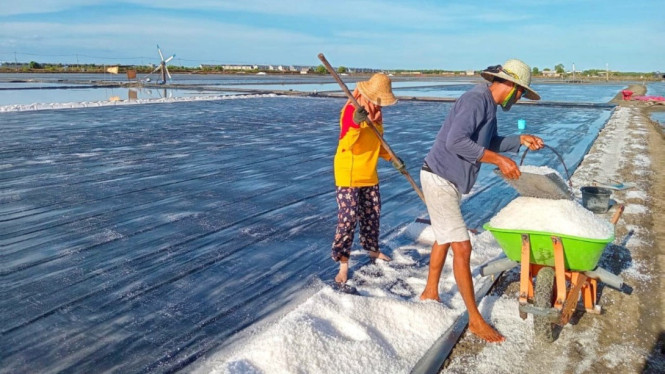 Petani garam Desa Tambak Cemandi Kecamatan Sedati Kabupaten Sidoarjo