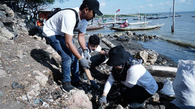 Aksi bersih-bersih pantai di Tambak Widi, Surabaya.