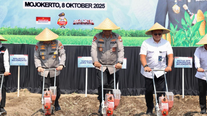 Kapolda Jatim tanam jagung serentak di Mojokerto.