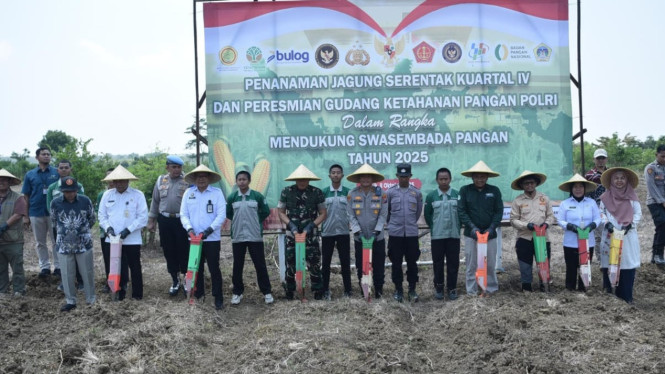 Penanaman jagung serentak kuartal IV di Kabupaten Gresik.