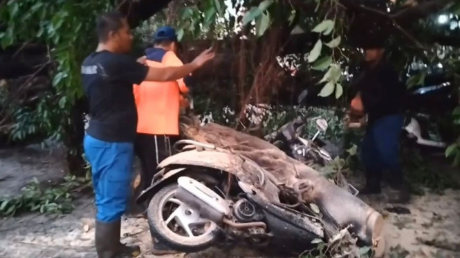 Motor tertimpa pohon tumbang akibat angin kencang di Mojokerto.