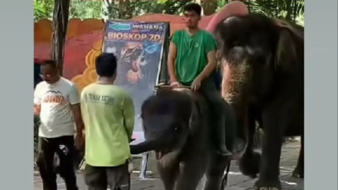 Tangkapan layar video viral
