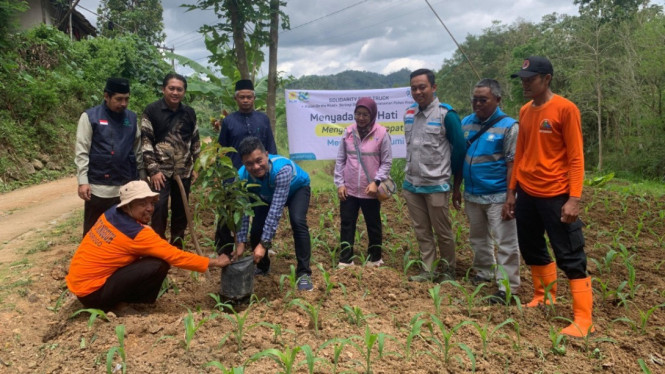PLN menanam pohon