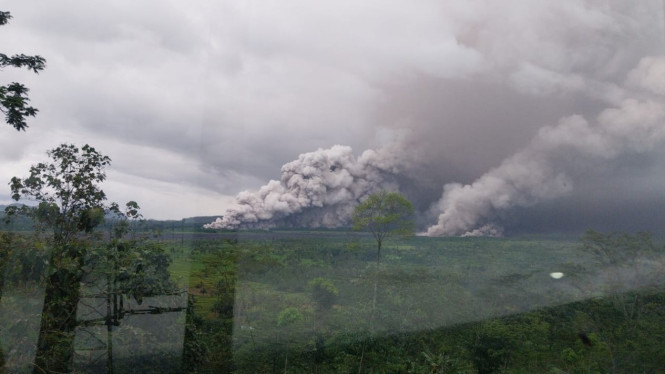 Luncuran awan panas akibat erupsi Gunung Semeru.