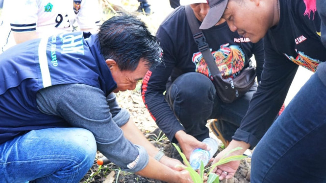Penanaman 8.000 bibit tanaman.