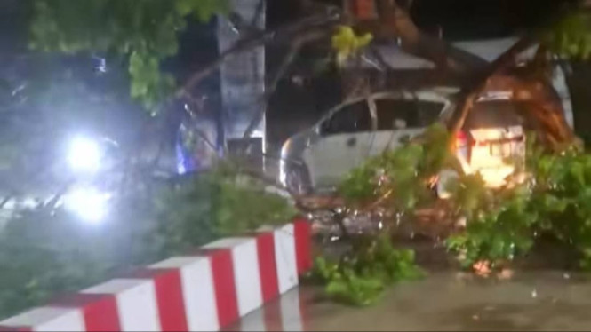 Mobil Tertimpa Pohon Tumbang di Tulungagung.