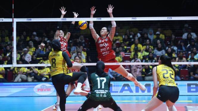 Gresik Phonska Vs Medan Falcons.