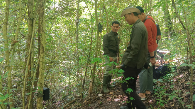 BBKSDA Jatim Memasang Kamera Trap.