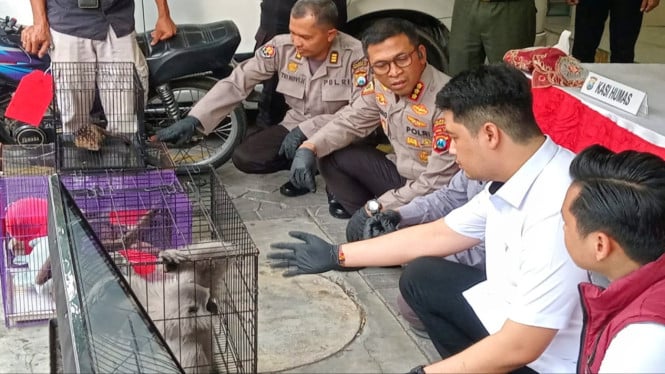 Polisi tangkap pelaku perdagangan satwa