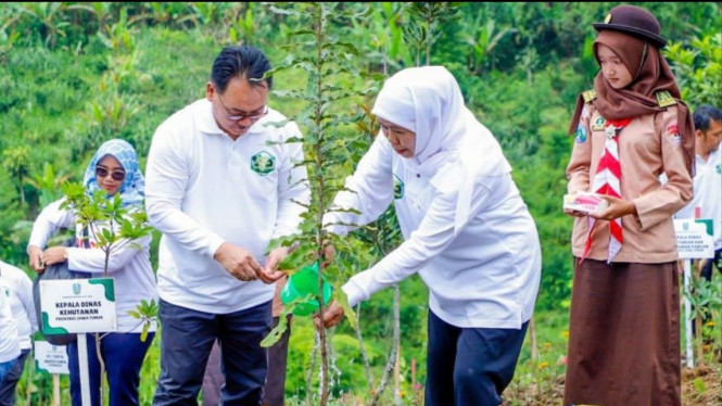 Gubernur Jatim di acara tanam pohon.
