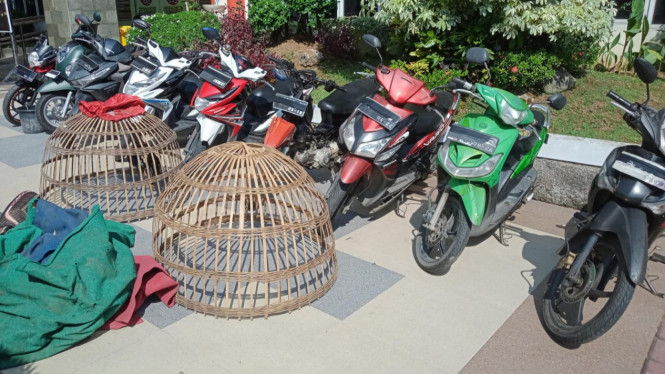 Barang Bukti Judi Sabung Ayam.