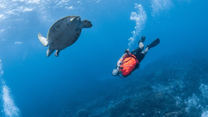 Didik Prasetiyono, penyelam Scuba Rekreasional, PADI Advanced Open Water Diver, saat melakukan penyelaman di laut.