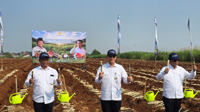 Gerakan Tanam Serentak.