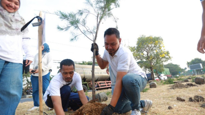 PLN Jatim dan DLH Surabaya tanam pohon.