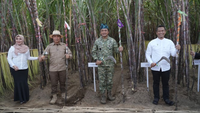 SGN Panen Tebu Bersama KSAU di PG Semboro, Perkuat Ekosistem Industri Gula Nasional