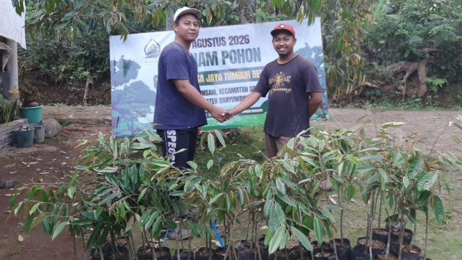 Bibit Durian Musang King yang ditanam Nusa Jaya Tumbuh Bersama dan warga di Banyuwangi.