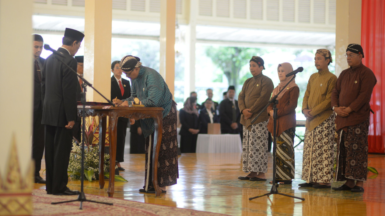 Porno opa-singillar onlayn