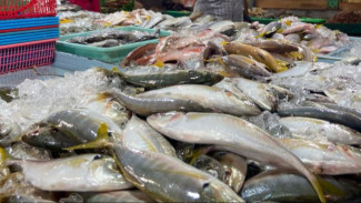21 November Hari Ikan Sedunia: Ini Sederet Manfaat dari Rutin Mengonsumsi Ikan