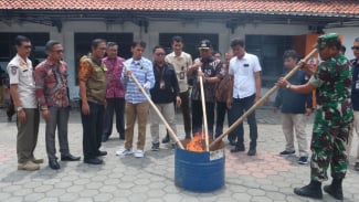 Article