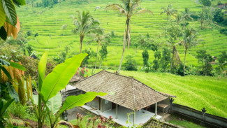 Dana Desa Tidak Cukup memacu Kemandirian