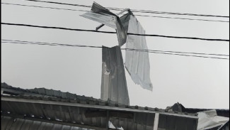 Diterjang Badai, Tiang Listrik Demak Patah: PLN Tancap Gas Pulihkan Suplai