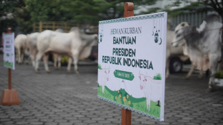 Temuan Cacing Hati di Hewan Kurban,  DPKP DIY : Masak Daging hingga Matang