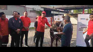 PDI Perjuangan Karanganyar Kurban 4 Sapi Metal, Pererat Solidaritas dan Tebar Kepedulian