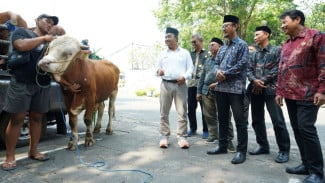 SIG Tebar 21 Ton Daging Kurban di 20 Provinsi, Wujud Nyata Kepedulian Sosial di Momen Iduladha