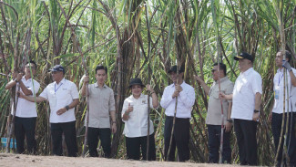 Wapres Dorong DIY Perkuat Sinergi Dukung Swasembada Gula