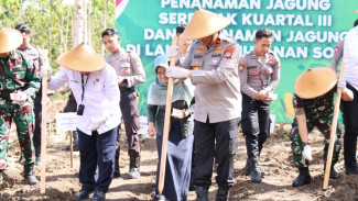 Dukung Target  1 Juta Hektare Lahan, Polda DIY Tanam Jagung di Gunungkidul