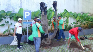 Ciptakan 'Hutan Mini' Demi Hijaukan Area Pendopo Kudus, Ini Langkah Unik Bupati Samani