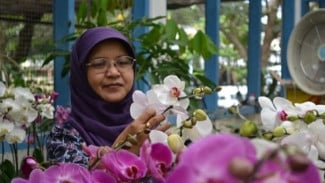Menjaga Kelestarian Anggrek dibutuhkan Konservasi Kolaboratif