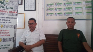 Perhutani Bantah Isu Penjualan Kayu Ilegal di Jembolo Utara Demak: 