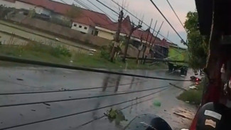 Angin Kencang Terjang Karanganyar, 11 Tiang Listrik Ambruk dan Pohon Besar Tumbang