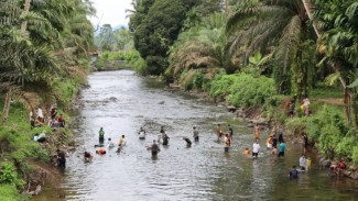 Tradisi Lubuk Larangan di Batang Toru: Menjaga Sungai, Menyelamatkan Jurung Ikan Lokal Endemik Tapsel dari Kepunahan