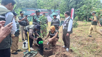 Revegetasi Menoreh Sasar 459 Hektare Lahan Kritis, Demi Ketahanan Air Kawasan Borobudur
