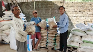 Petani Talunombo Digerojok Bibit Padi Unggul Gratis, Perkuat Program Kemandirian Pangan Wonosobo