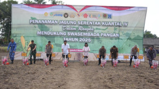 Tanam Jagung Kuartal IV, Komitmen Swasembada Pangan