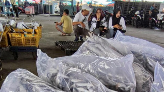 Konsumsi Ikan Jateng Naik, Pemprov Siapkan Festival 1.000 Bakso Ikan dan Pasar Rakyat