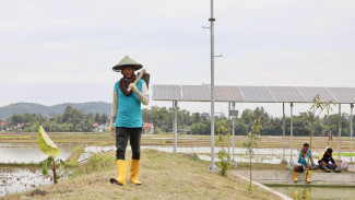Petani Cilacap Panen Berkah dari Pompa Air Tenaga Surya