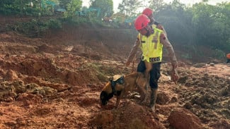 Banjarnegara Masih Darurat Longsor, Polda Jateng Turunkan Tim Gabungan dan K9 Cari 26 Korban Tertimbun