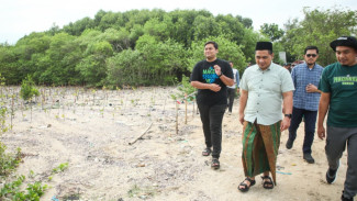 Gus Yasin Tanam Mangrove di Jepara, Luncurkan Pasukan Hijau untuk Perkuat Mageri Segoro