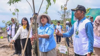 Jateng Kick Off Pemulihan Taman Nasional Gunung Merapi, 650 Bibit Pohon Ditanam di Lahan Kritis