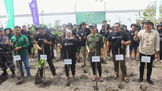 Jaga Kawasan Pesisir dari Abrasi, 5000 Pohon Mangrove Ditanam di Pantai Baros