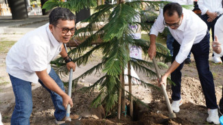 UGM dan Kagama Wujudkan Komitmen Hijau Lewat Penanaman Cemara Norfolk di GIK