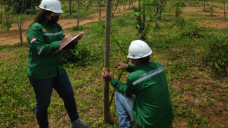 Mengenal BioRehab, Teknologi Berbasis Mikroorganisme Untuk Pulihkan Kondisi Tanah di Bekas Pertambangan