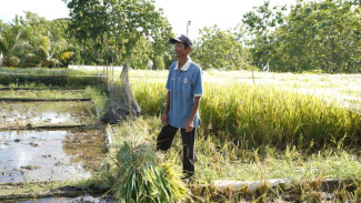 Inovasi Irigasi Geomembran UGM untuk Pertanian Lahan Kering